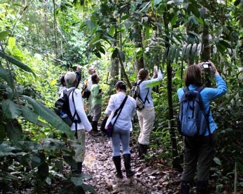 7 Atractivos de Tambopata que No Te Puedes Perder