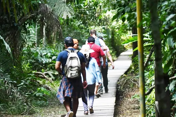 Caminata Etnobotánica