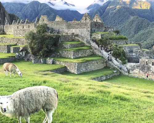Tour em Destaque Cusco Peru 8D/7N Tour em Destaque Cusco Peru 8D/7N