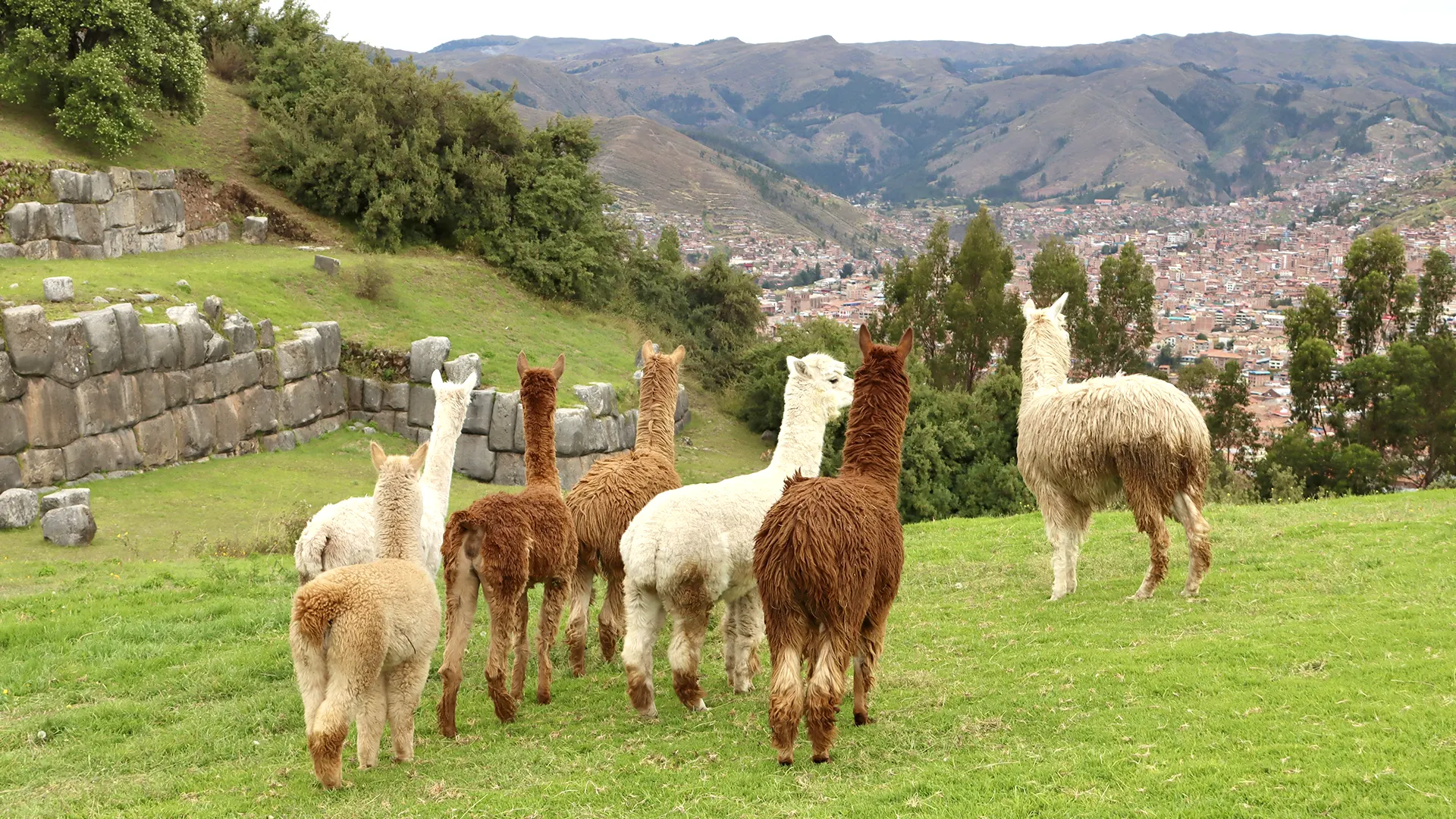 Cusco Packages 6