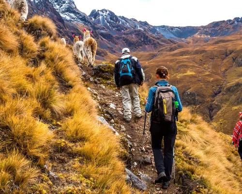 Lares Trek & Inca Trail with Camping 5D/4N