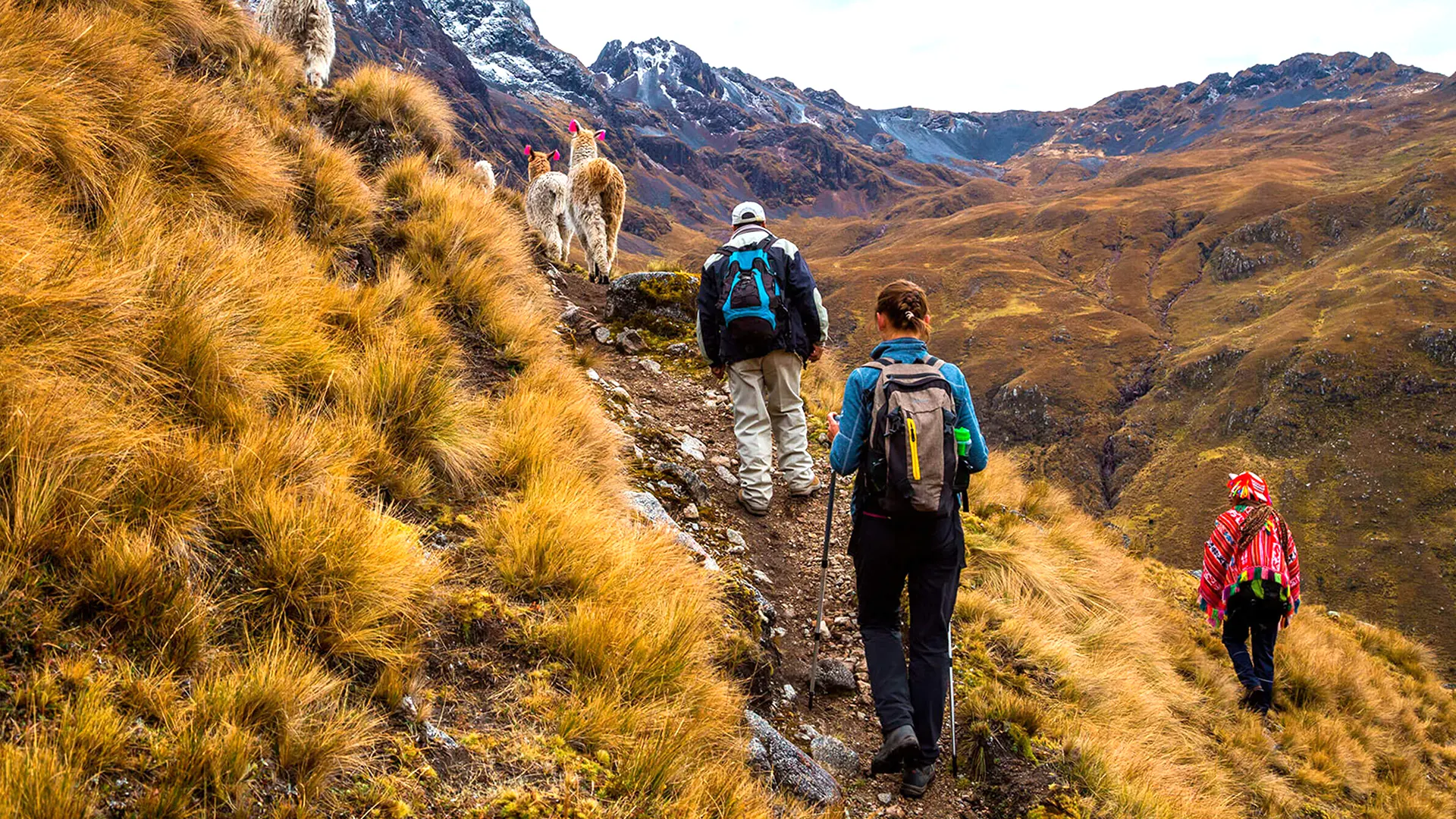 Lares Trek 2