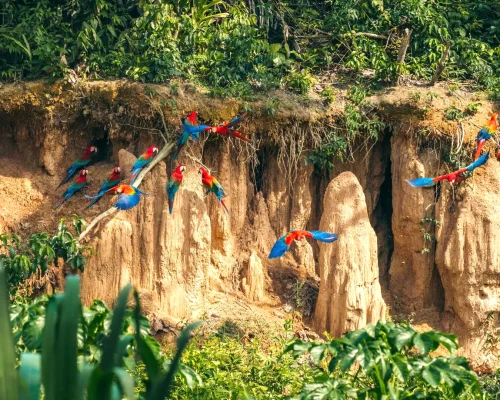 Tour Cusco & Amazon 10D/9N